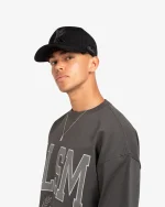 REALISM DOVE LOGO SUEDE CAP
